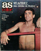 AS Color Nº 10.pdf